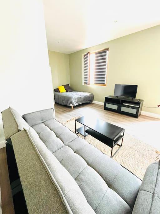 Studio Tout Equipe Au Calme Et Chaleureux Appartement Saint-Etienne  Buitenkant foto