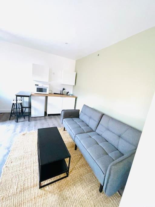 Studio Tout Equipe Au Calme Et Chaleureux Appartement Saint-Etienne  Buitenkant foto